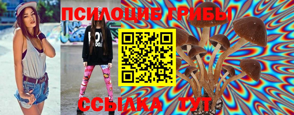 Псилоцибиновые грибы Psilocybe Алейск