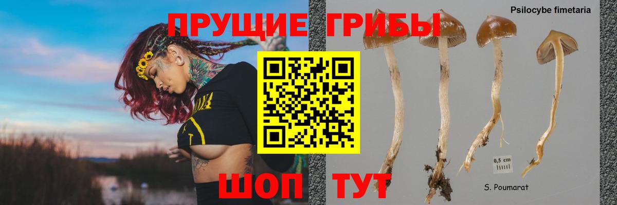 Псилоцибиновые грибы прущие грибы  Вход с VPN  Галлюциногенные грибы мухоморы  Алейск 