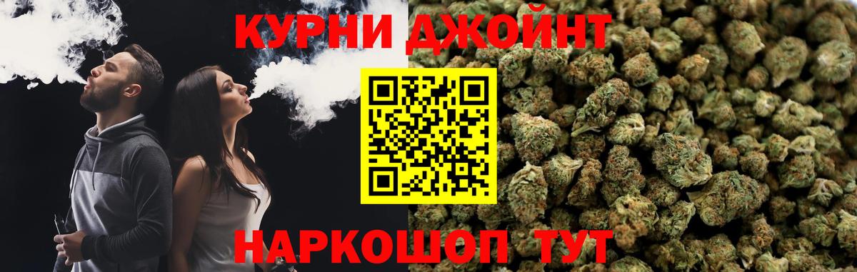 Бошки Шишки сатива Алейск