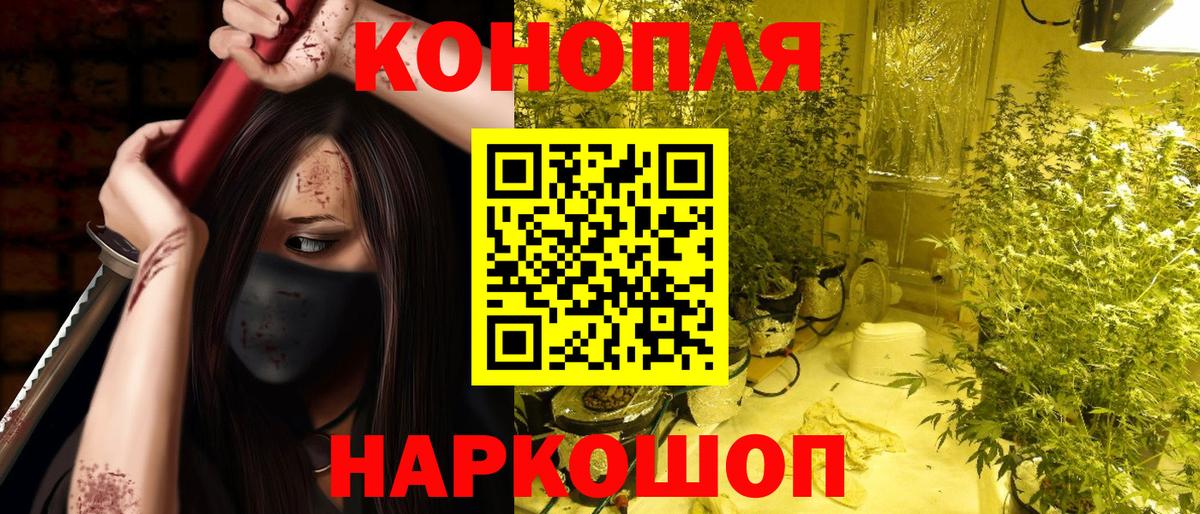 Канабис Ganja  Бошки Шишки OG Kush  Бошки марихуана THC 21%  Алейск  Вход с VPN 